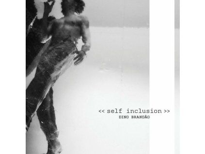 3887501 dino brandao self inclusion cd