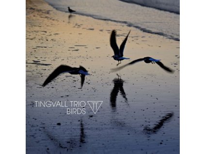 Tingvall Trio - Birds (CD)