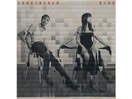 3890597 andrew bird cunningham bird cd