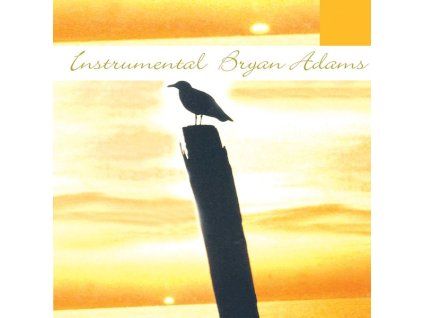 3892577 instrumental bryan adam cd