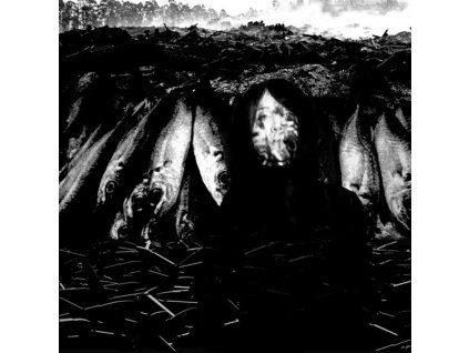 3897179 suzie stapleton we are the plague cd