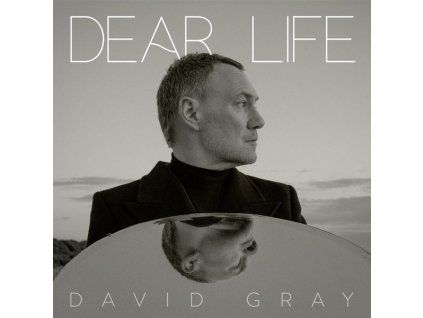 3897647 david gray dear life cd