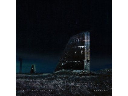 3898151 galya bisengalieva polygon cd