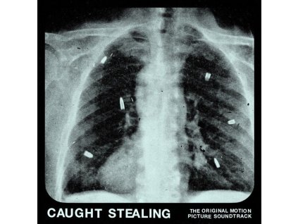 Idles - Caught Stealing (CD)