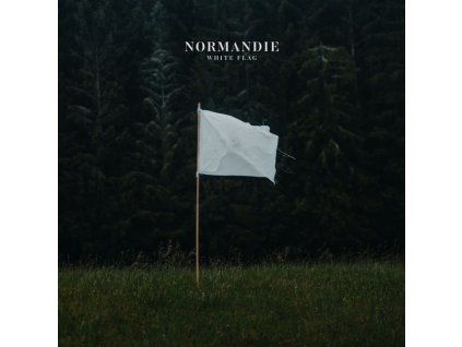 3902771 normandie white flag cd
