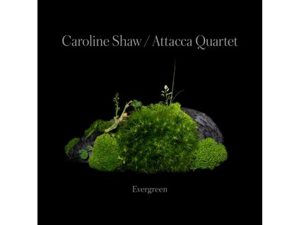 Caroline Shaw - Evergreen (CD)