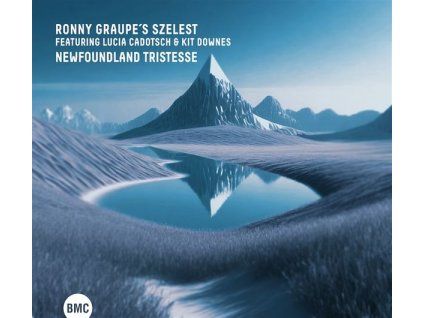 3907481 ronny graupe newfoundland tristesse cd