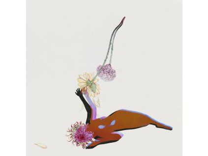 3913490 future islands the far field cd