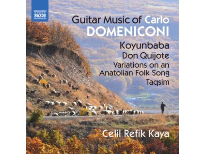 Carlo Domeniconi - Gitarrenwerke (CD)