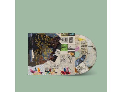 3914363 animal collective time skiffs cd