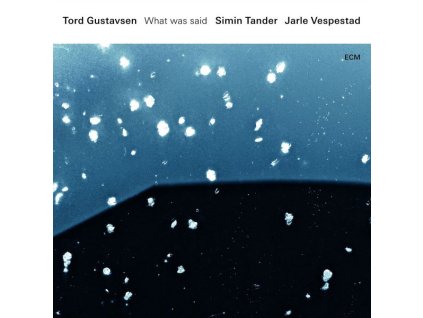 Tord Gustavsen, Simin Tander & Jarle Vespestad - What Was Said (CD)