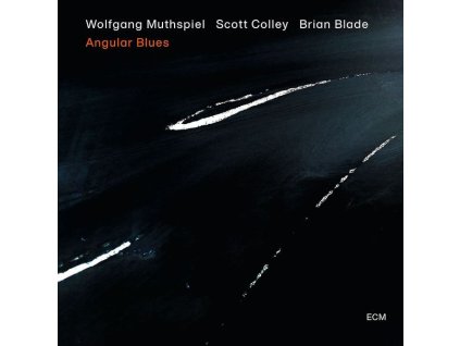 Wolfgang Muthspiel - Angular Blues (CD)