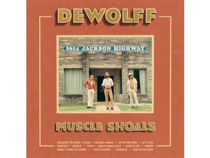 3916133 dewolff muscle shoals cd