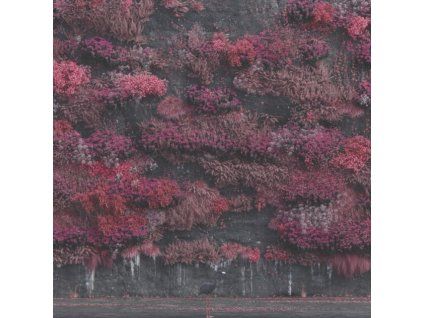 3917948 sleep token even in arcadia cd