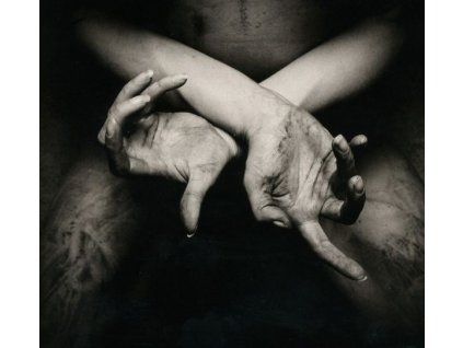 Shining - X-Varg Utan Flock (CD)