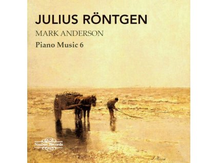 Julius Röntgen (1855-1932) - Klavierwerke Vol.6 (CD)