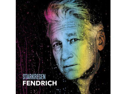 3924200 rainhard fendrich starkregen cd