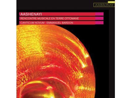 3924602 canticum novum aashenay cd