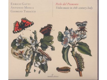 Perle del Piemonte - Violin Music in 18th-Century Italy (CD)
