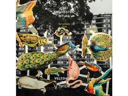 Fire! Orchestra - Ritual (CD)