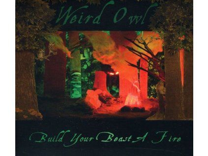 3933245 weird owl build your beast a fire cd