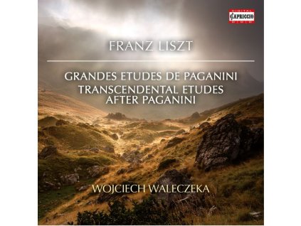 Franz Liszt (1811-1886) - Paganini-Etüden Nr.1-6 (CD)