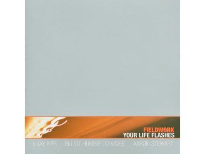 3934994 fieldwork your life flashes cd