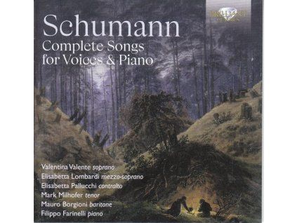 3935639 robert schumann 1810 1856 lieder und liederzyklen cd