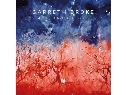 3935711 garreth broke life through loss cd