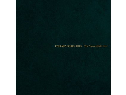 Tyshawn Sorey - The Susceptible Now (CD)