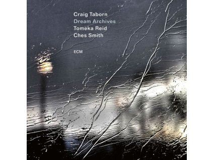 3941000 craig taborn dream archives cd