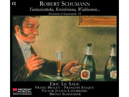 Robert Schumann (1810-1856) - Klavierwerke & klavierbegleitete Kammermusik Vol.6 (CD)