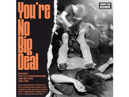 You're No Big Deal: Grunge & The US Underground (CD)