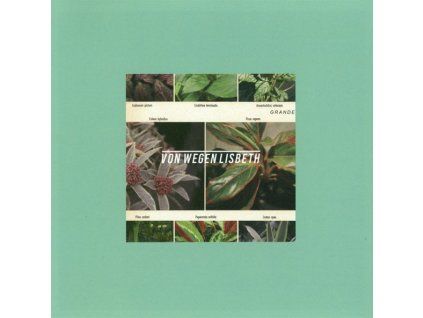 3943115 von wegen lisbeth grande cd