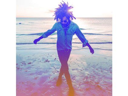 3945696 lenny kravitz raise vibration cd