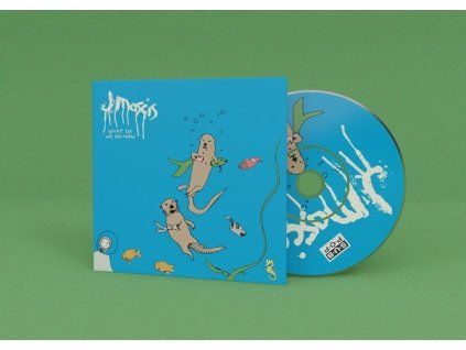 3946689 j mascis what do we do now cd