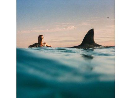 3948828 dua lipa radical optimism cd