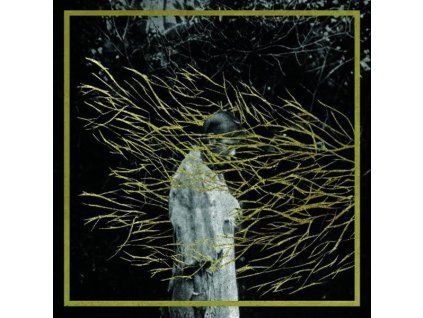3951381 forest swords emgravings cd
