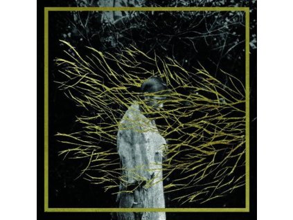 Forest Swords - Emgravings (CD)