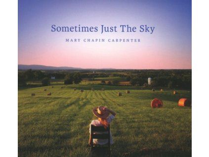 3952182 mary chapin carpenter sometimes just the sky cd