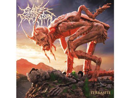 3953013 cattle decapitation terrasite cd
