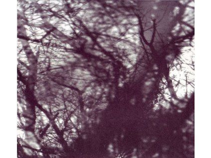 3954399 grouper way their crept cd