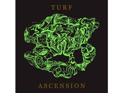 3955470 bubblemath turf ascension cd