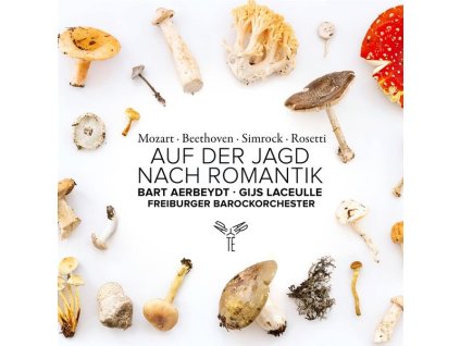 Auf der Jagd nach Romantik - Werke mit 2 Hörnern (CD)