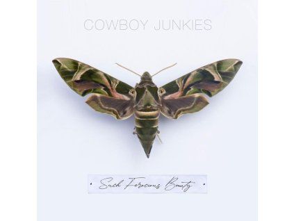 3959355 cowboy junkies such ferocious beauty cd