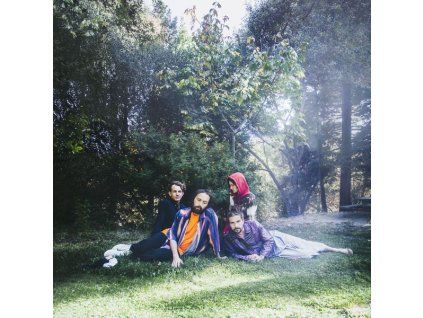 3960687 big thief u f o f cd