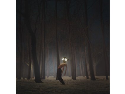 Geese - Projector (CD)