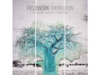 3965268 fieldwork thereupon cd