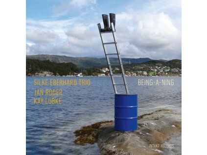 3965400 silke eberhard being a ning cd