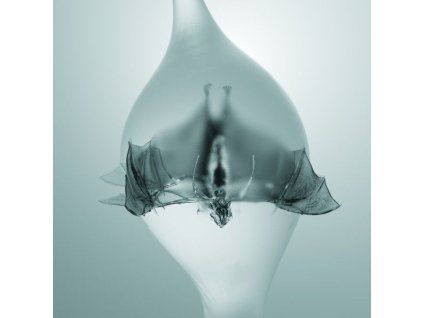 3966993 unprocessed angel cd